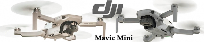 Красивий і потужний попередник DJI Mini 2 все ще на ринку